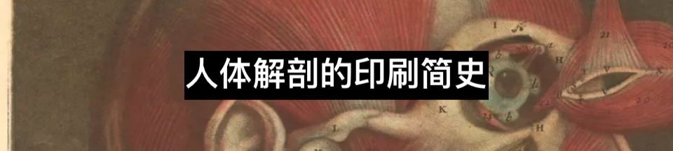 “人皮书”的迷思 皮书 迷思 利维坦 人皮书 公众 威廉·伯克 皮肤 杀人犯 遗体 爱丁堡医学院 崇真艺客