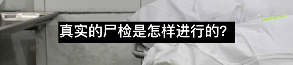 “人皮书”的迷思 皮书 迷思 利维坦 人皮书 公众 威廉·伯克 皮肤 杀人犯 遗体 爱丁堡医学院 崇真艺客