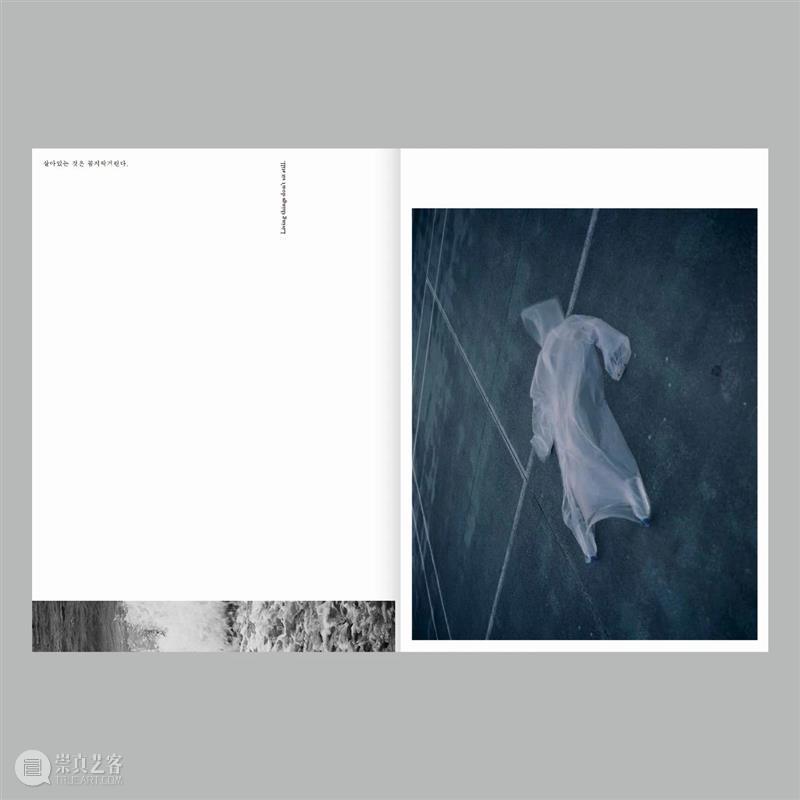 『对话：读·图·书』｜Aprilsnow Press & Choi Yongjoon & Minji Yi 崇真艺客