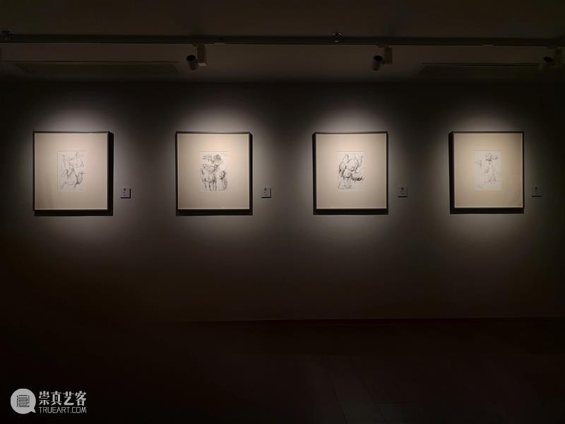 纸本篇|素履·殷雄写生作品展 素履 殷雄 作品展 纸本 绘画 作品 新疆 当地 骆驼 意大利 崇真艺客