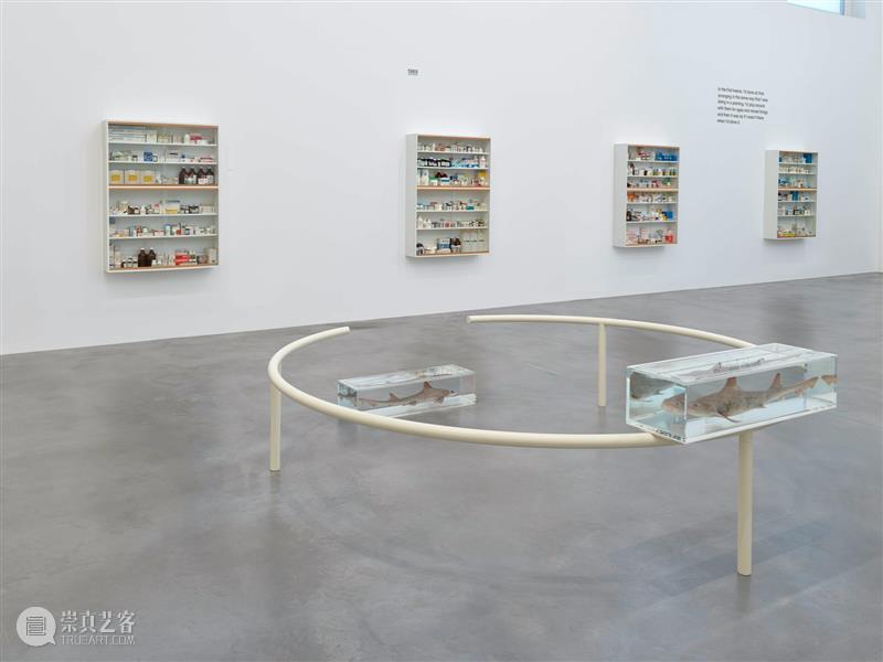 高古轩展讯 | 赫斯特,古尔斯基,里希特的美术馆个展 高古轩 古尔斯基 赫斯特 里希特 展讯 美术 馆个展 微信 艺术家 动态 崇真艺客
