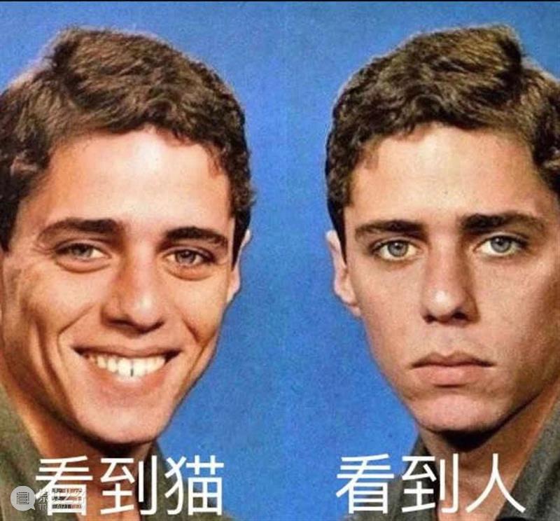 豆瓣9.4，顶级大师出手，这好片治愈了我节后第一天的丧 豆瓣 大师 节后 网上 人群 up主 平时 手机 猫咪 视频 崇真艺客