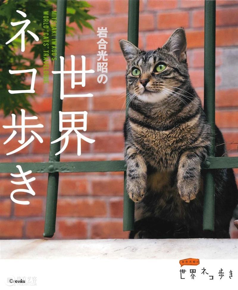 豆瓣9.4，顶级大师出手，这好片治愈了我节后第一天的丧 豆瓣 大师 节后 网上 人群 up主 平时 手机 猫咪 视频 崇真艺客
