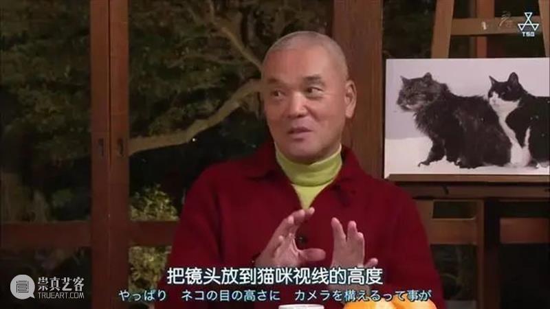 豆瓣9.4，顶级大师出手，这好片治愈了我节后第一天的丧 豆瓣 大师 节后 网上 人群 up主 平时 手机 猫咪 视频 崇真艺客