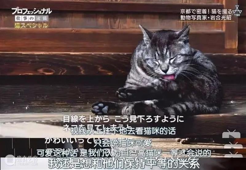豆瓣9.4，顶级大师出手，这好片治愈了我节后第一天的丧 豆瓣 大师 节后 网上 人群 up主 平时 手机 猫咪 视频 崇真艺客