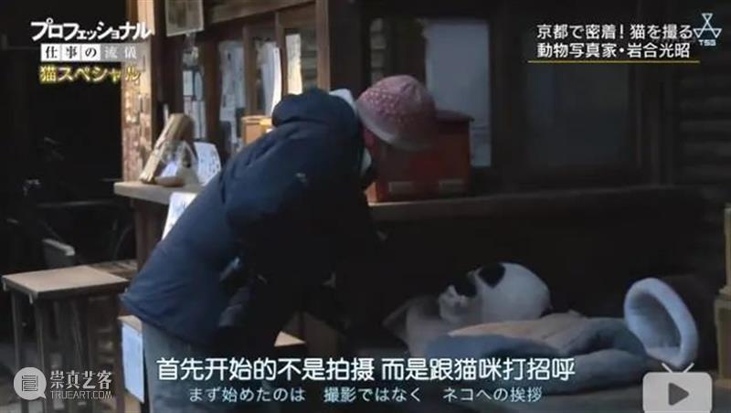 豆瓣9.4，顶级大师出手，这好片治愈了我节后第一天的丧 豆瓣 大师 节后 网上 人群 up主 平时 手机 猫咪 视频 崇真艺客