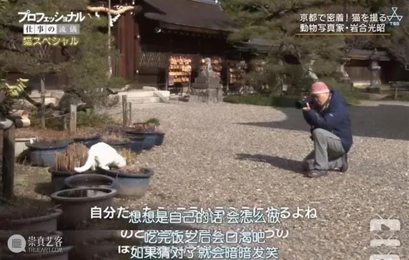 豆瓣9.4，顶级大师出手，这好片治愈了我节后第一天的丧 豆瓣 大师 节后 网上 人群 up主 平时 手机 猫咪 视频 崇真艺客