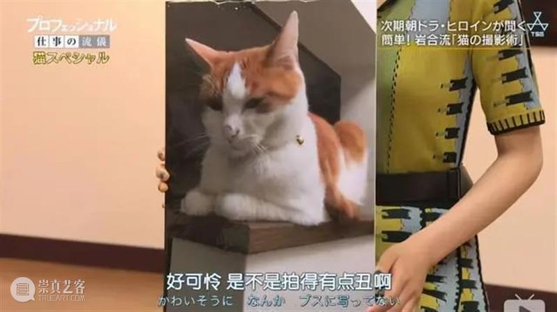 豆瓣9.4，顶级大师出手，这好片治愈了我节后第一天的丧 豆瓣 大师 节后 网上 人群 up主 平时 手机 猫咪 视频 崇真艺客