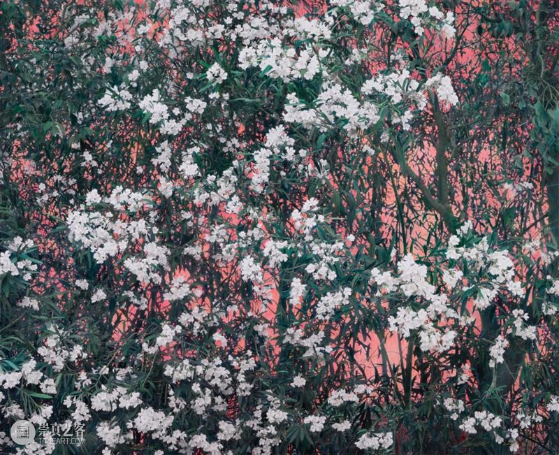 SCôP Exhibition |《重·现》史国威个展现已开展 国威 上海摄影艺术中心 SCoP 艺术家史 个展 艺术家 作品 史国威 回顾展 国内 崇真艺客