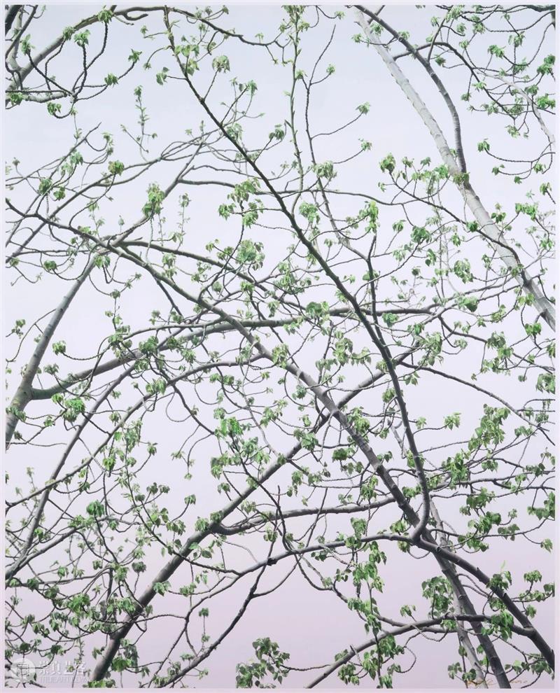 SCôP Exhibition |《重·现》史国威个展现已开展 国威 上海摄影艺术中心 SCoP 艺术家史 个展 艺术家 作品 史国威 回顾展 国内 崇真艺客
