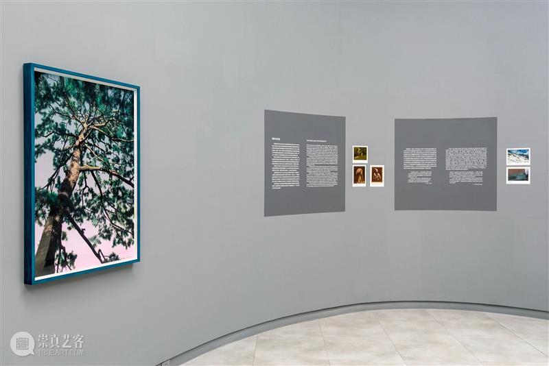 SCôP Exhibition |《重·现》史国威个展现已开展 国威 上海摄影艺术中心 SCoP 艺术家史 个展 艺术家 作品 史国威 回顾展 国内 崇真艺客