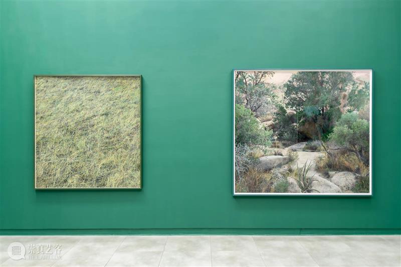 SCôP Exhibition |《重·现》史国威个展现已开展 国威 上海摄影艺术中心 SCoP 艺术家史 个展 艺术家 作品 史国威 回顾展 国内 崇真艺客