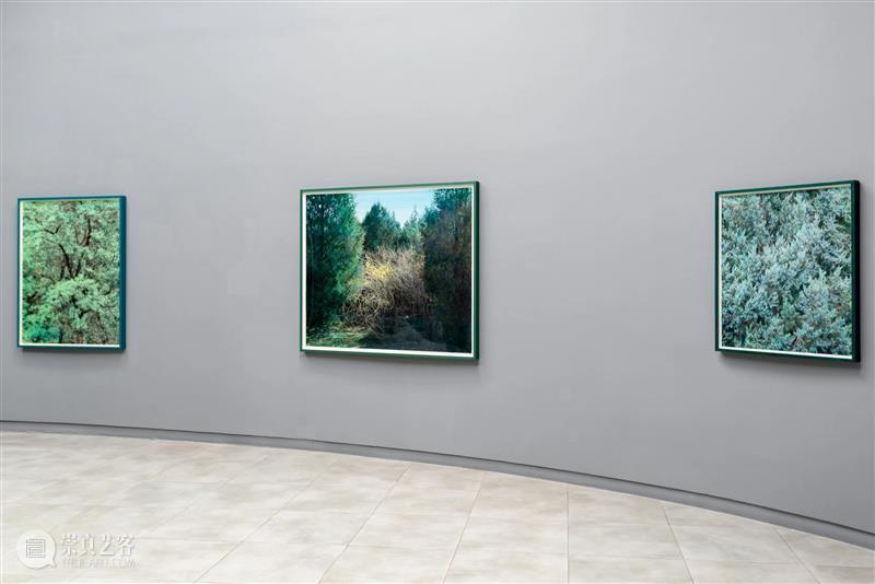 SCôP Exhibition |《重·现》史国威个展现已开展 国威 上海摄影艺术中心 SCoP 艺术家史 个展 艺术家 作品 史国威 回顾展 国内 崇真艺客