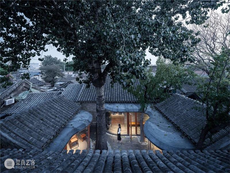 ArchDaily 2021年度建筑大奖公布，15类奖项中国地区建筑占五席 崇真艺客