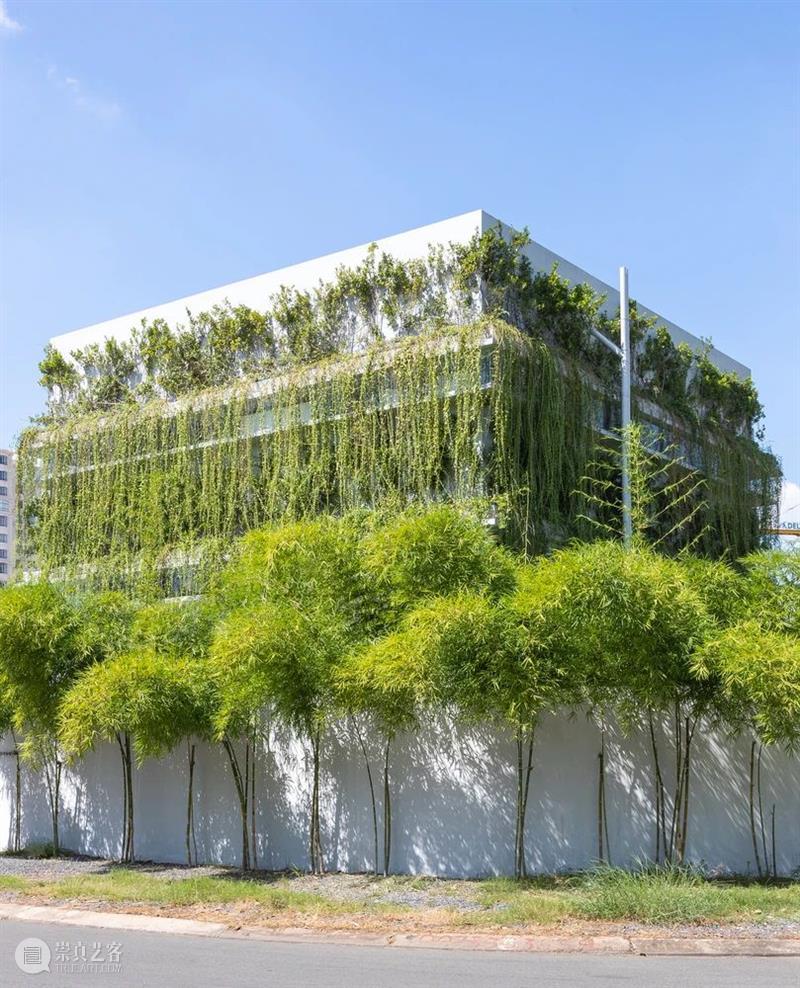 绿植“窗帘”，MIA设计工作室 / MIA Design Studio 工作室 绿植 窗帘 MIA Chien 场地 西贡市二号 街区 中央公园 附近 崇真艺客