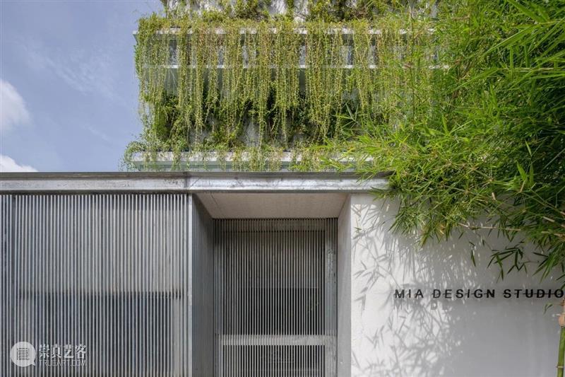 绿植“窗帘”，MIA设计工作室 / MIA Design Studio 工作室 绿植 窗帘 MIA Chien 场地 西贡市二号 街区 中央公园 附近 崇真艺客