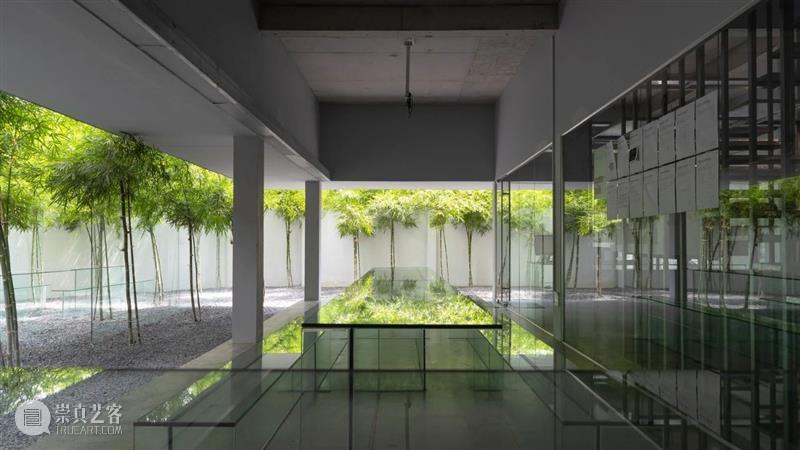 绿植“窗帘”，MIA设计工作室 / MIA Design Studio 工作室 绿植 窗帘 MIA Chien 场地 西贡市二号 街区 中央公园 附近 崇真艺客