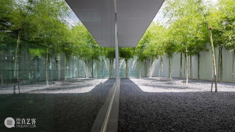 绿植“窗帘”，MIA设计工作室 / MIA Design Studio 工作室 绿植 窗帘 MIA Chien 场地 西贡市二号 街区 中央公园 附近 崇真艺客