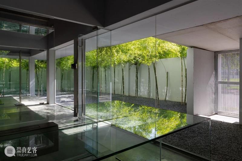 绿植“窗帘”，MIA设计工作室 / MIA Design Studio 工作室 绿植 窗帘 MIA Chien 场地 西贡市二号 街区 中央公园 附近 崇真艺客