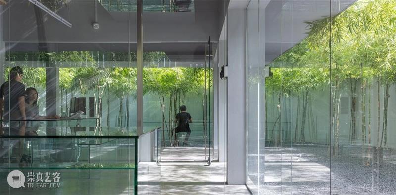 绿植“窗帘”，MIA设计工作室 / MIA Design Studio 工作室 绿植 窗帘 MIA Chien 场地 西贡市二号 街区 中央公园 附近 崇真艺客