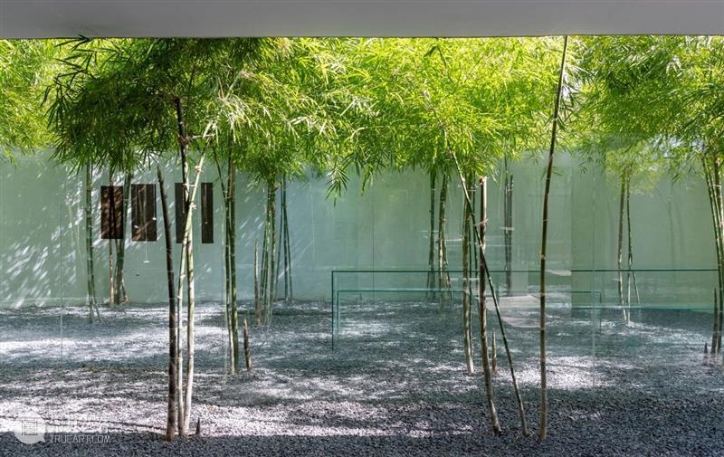 绿植“窗帘”，MIA设计工作室 / MIA Design Studio 工作室 绿植 窗帘 MIA Chien 场地 西贡市二号 街区 中央公园 附近 崇真艺客