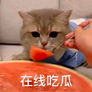 吴秀波不再从事演员职业;任嘉伦迪丽热巴新剧官宣 吴秀波 演员 职业 任嘉伦 迪丽热巴 新剧 官宣 影视 好剧 小豆 崇真艺客