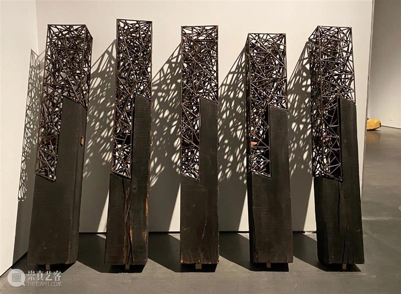 【实验空间·人物随访】​楔子—傅中望个展 崇真艺客