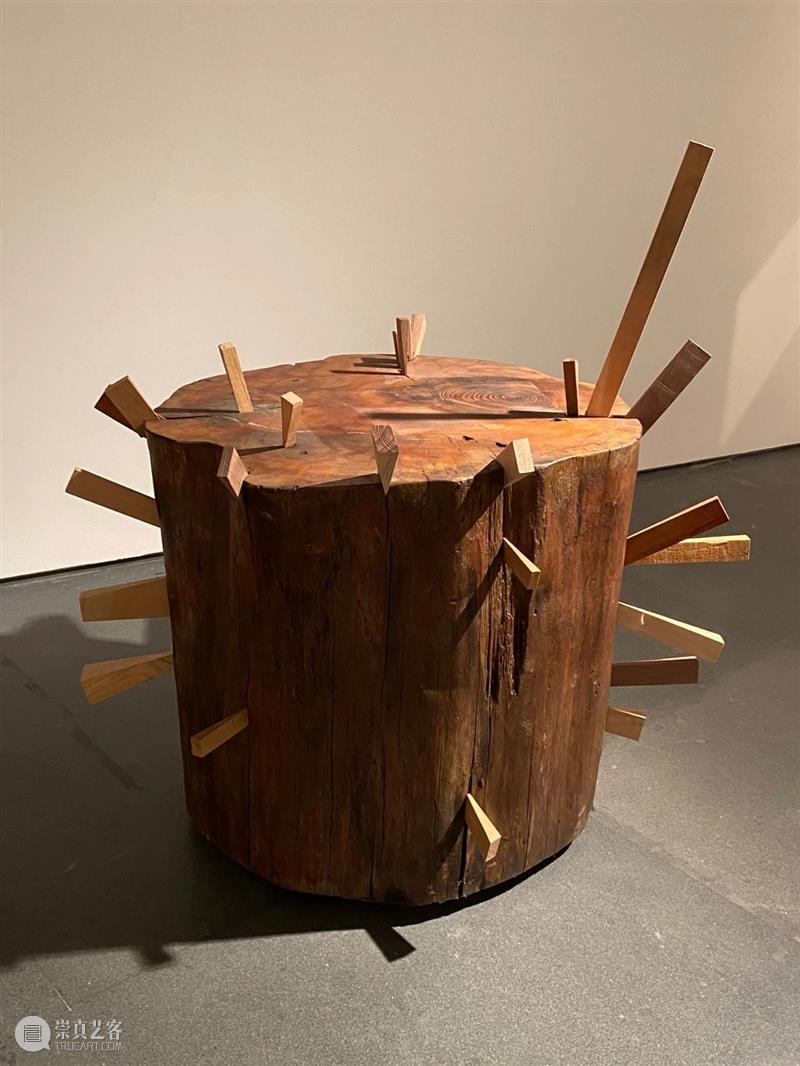 【实验空间·人物随访】​楔子—傅中望个展 崇真艺客