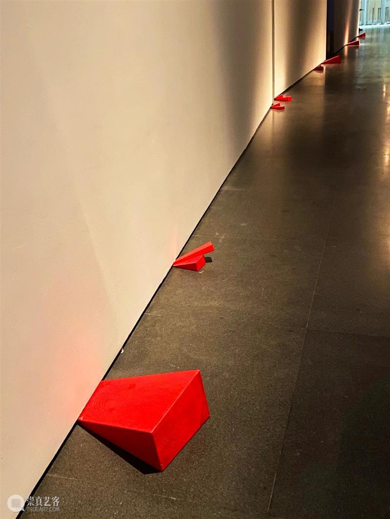 【实验空间·人物随访】​楔子—傅中望个展 崇真艺客
