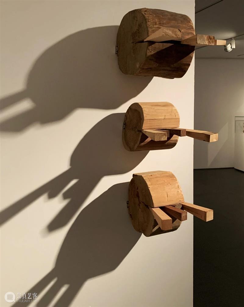 【实验空间·人物随访】​楔子—傅中望个展 崇真艺客