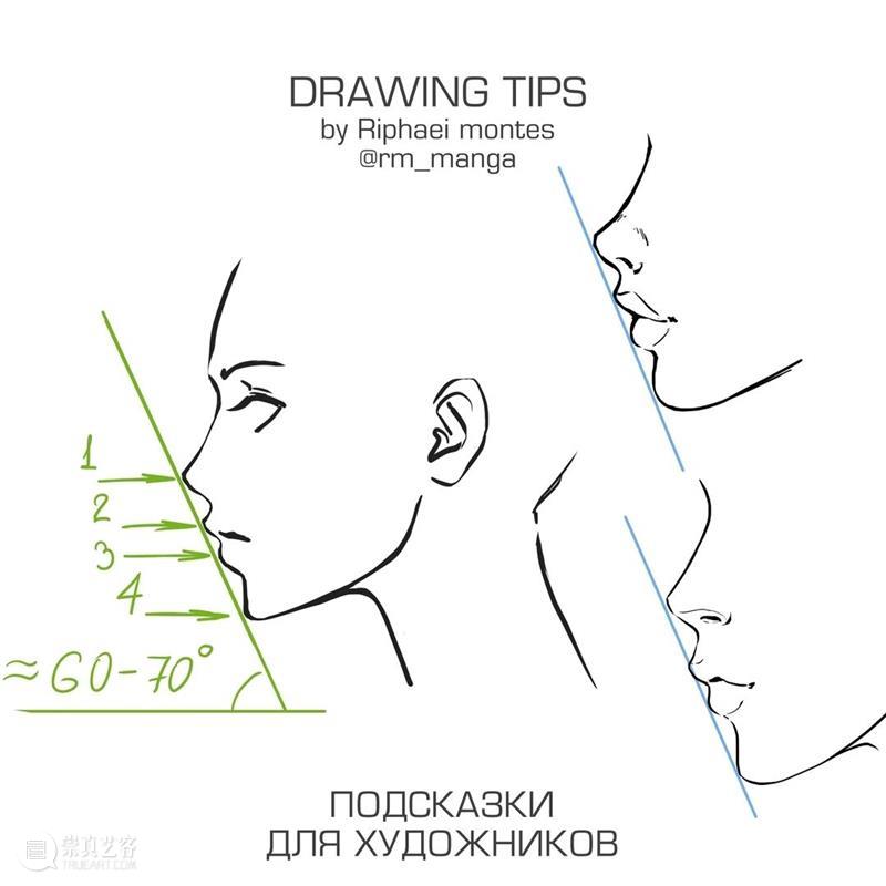 人体绘画的常见误区，你中招了吗？ 人体 绘画 误区 manga 作品 往期 好文 纹样 素材 铅笔 崇真艺客