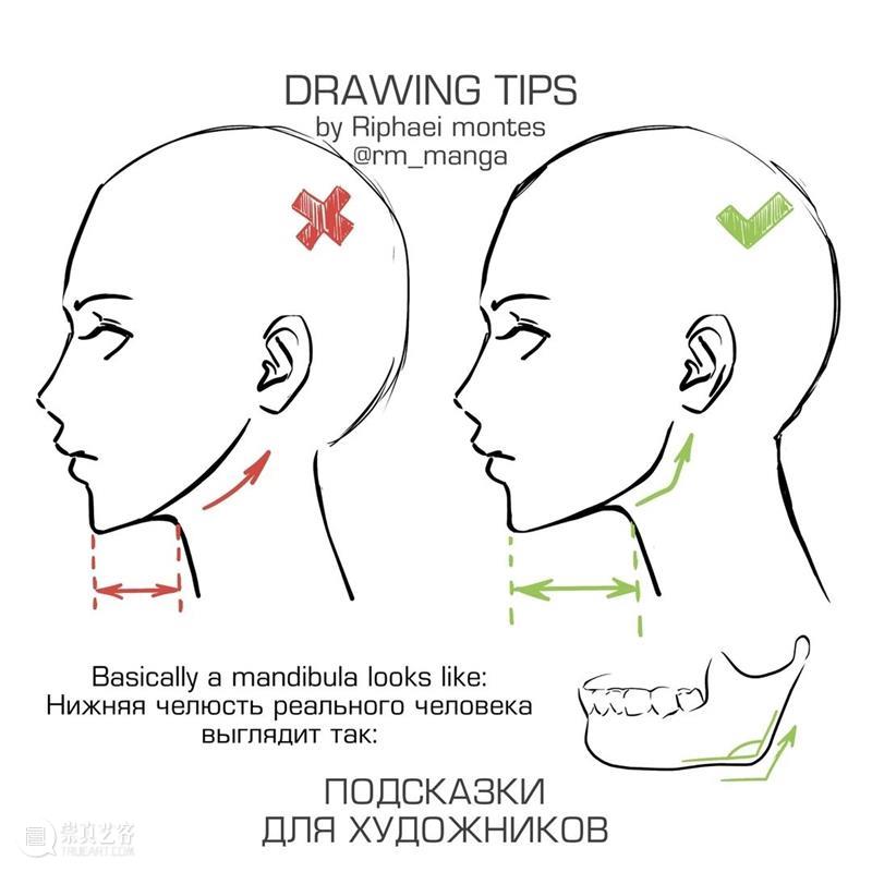 人体绘画的常见误区，你中招了吗？ 人体 绘画 误区 manga 作品 往期 好文 纹样 素材 铅笔 崇真艺客