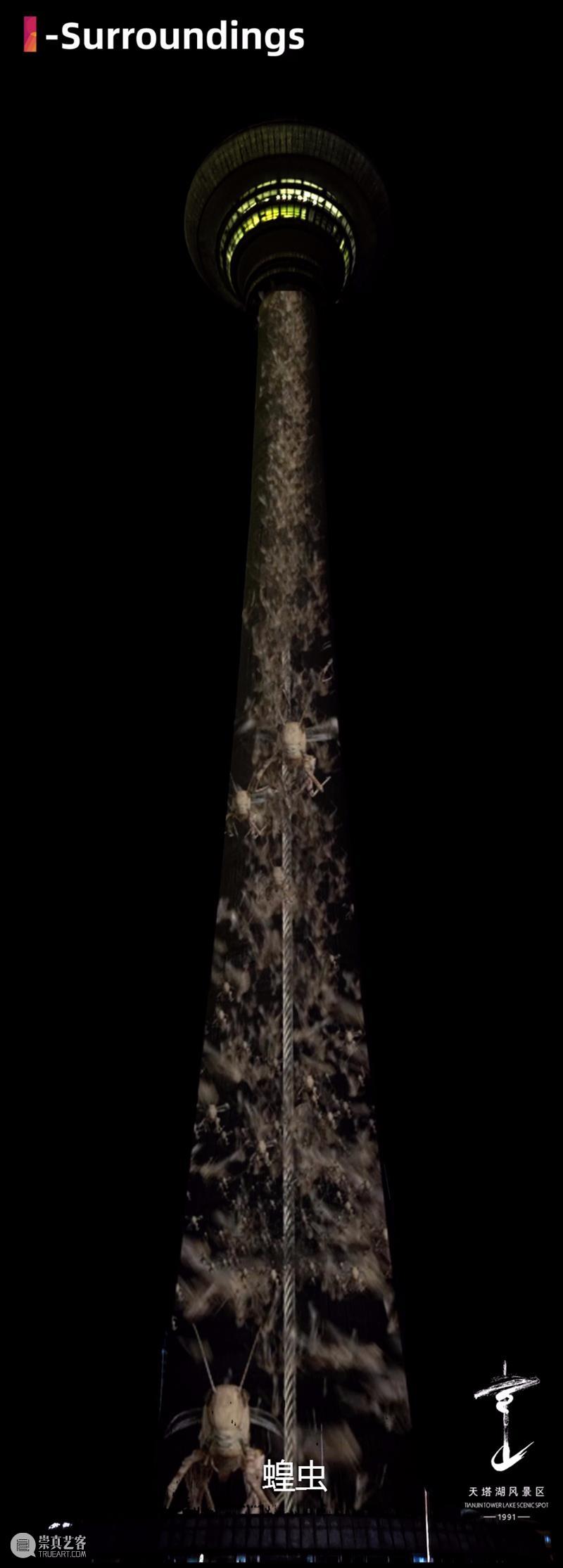 天津广播电视塔光影大秀，5000平米的大屏上“彩蝶飞舞” 天津广播电视塔 光影 大秀 大屏 彩蝶 跨年夜光影大秀 破茧成蝶 作品 松果体 艺术团队 崇真艺客