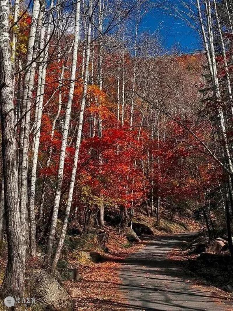 古建丨“地上文物看山西”——隐藏无数传奇的地方 山西 传奇 地方 地上 文物 古建 上方 中国舞台美术学会 右上 星标 崇真艺客