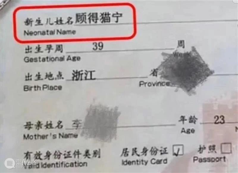 怎样取一个别致的名字？ 名字 广州佛山市公安局 新生儿 爆款 排行榜 其中 频率 父母 孩子 字眼 崇真艺客
