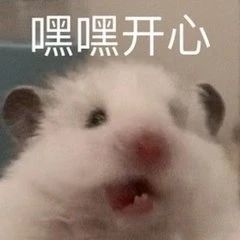 钟汉良谭松韵新剧定档；《哥斯拉大战金刚》确认引进 视频资讯 Douban编辑部 钟汉良 谭松韵 新剧 哥斯拉大战金刚 影视 好剧 小豆 等人 锦心似玉 宣布定档 崇真艺客