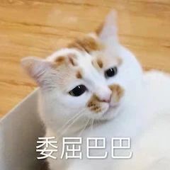 钟汉良谭松韵新剧定档；《哥斯拉大战金刚》确认引进 视频资讯 Douban编辑部 钟汉良 谭松韵 新剧 哥斯拉大战金刚 影视 好剧 小豆 等人 锦心似玉 宣布定档 崇真艺客