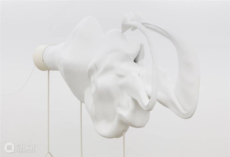 WBM进行时 | “设计与奇思”进入闭展倒计时，中英文图册全新上线 倒计时 奇思 中英文 图册 WBM 进行时 约翰 沃尔夫冈 歌德 植物变形记 崇真艺客