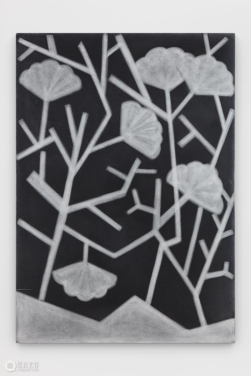 新展开幕 | 本周(2021.02.22-2021.02.28) 即将开幕 ART021 崇真艺客