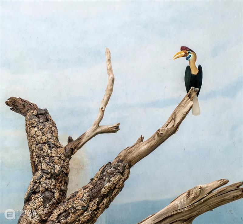 埃里克·裴欧 ERIC PILLOT：摄影比用文字描述有趣的多 Photography is much more fun 崇真艺客
