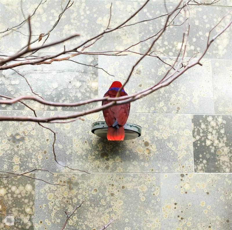 埃里克·裴欧 ERIC PILLOT：摄影比用文字描述有趣的多 Photography is much more fun 崇真艺客