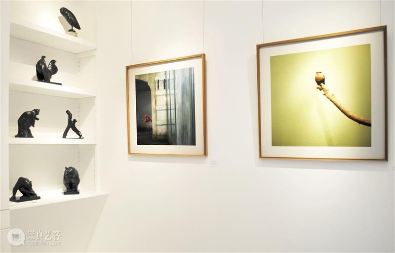 埃里克·裴欧 ERIC PILLOT：摄影比用文字描述有趣的多 Photography is much more fun 崇真艺客
