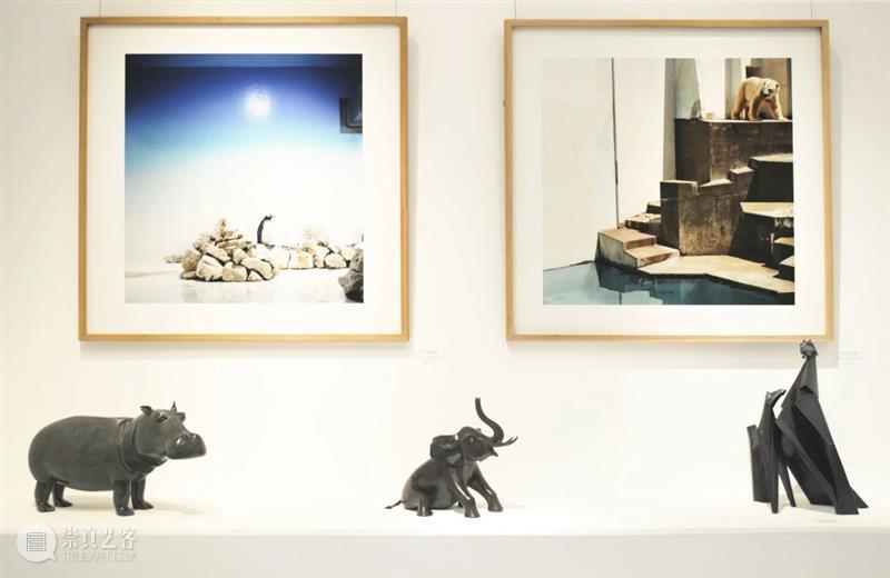 埃里克·裴欧 ERIC PILLOT：摄影比用文字描述有趣的多 Photography is much more fun 崇真艺客