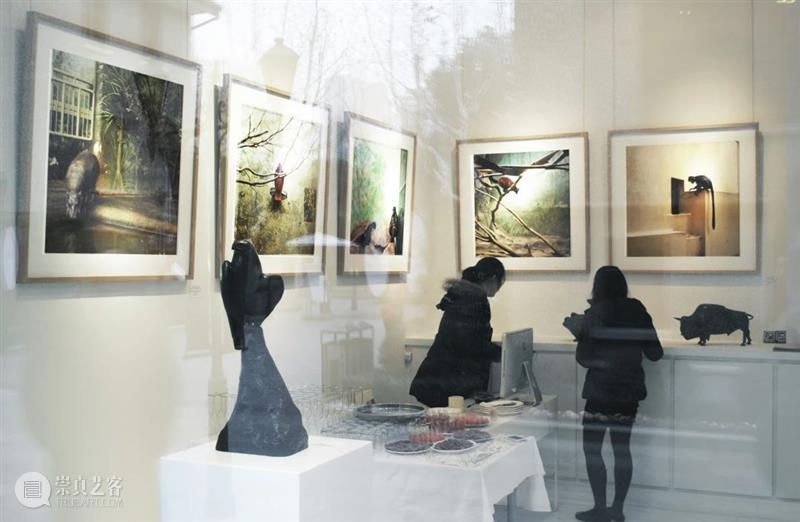 埃里克·裴欧 ERIC PILLOT：摄影比用文字描述有趣的多 Photography is much more fun 崇真艺客