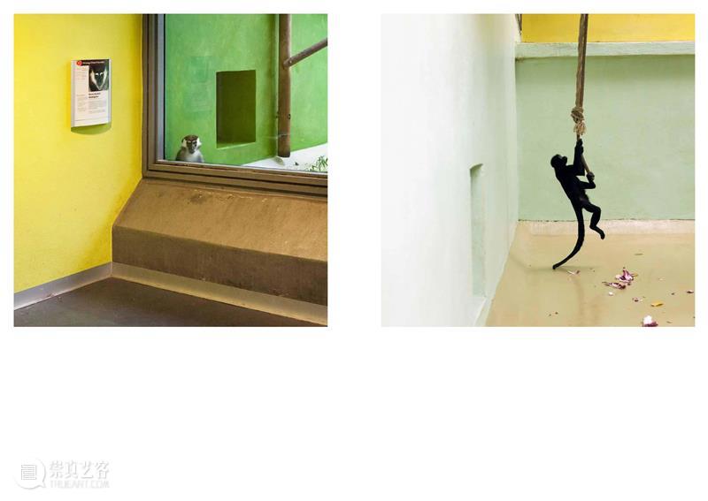 埃里克·裴欧 ERIC PILLOT：摄影比用文字描述有趣的多 Photography is much more fun 崇真艺客