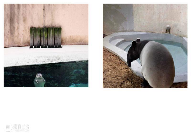 埃里克·裴欧 ERIC PILLOT：摄影比用文字描述有趣的多 Photography is much more fun 崇真艺客