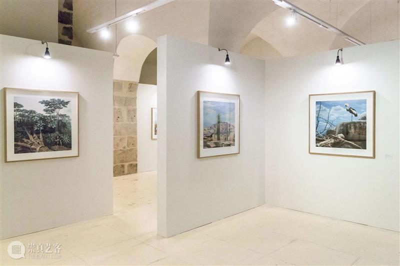 埃里克·裴欧 ERIC PILLOT：摄影比用文字描述有趣的多 Photography is much more fun 崇真艺客