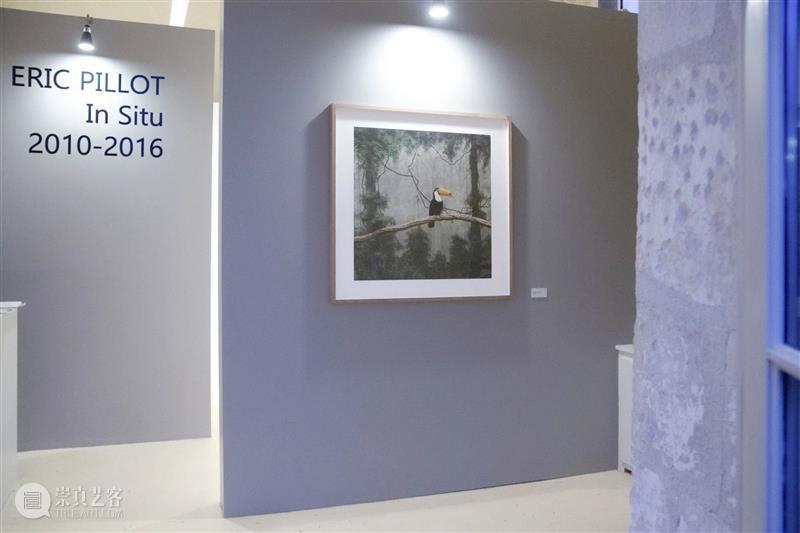 埃里克·裴欧 ERIC PILLOT：摄影比用文字描述有趣的多 Photography is much more fun 崇真艺客