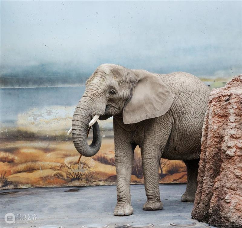埃里克·裴欧 ERIC PILLOT：摄影比用文字描述有趣的多 Photography is much more fun 崇真艺客
