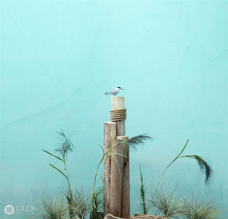 埃里克·裴欧 ERIC PILLOT：摄影比用文字描述有趣的多 Photography is much more fun 崇真艺客
